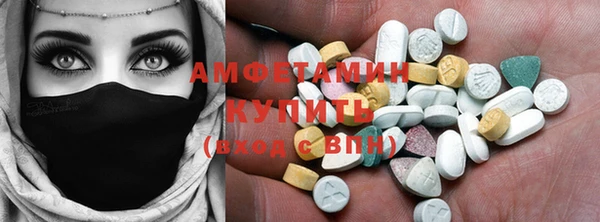 индика Абаза