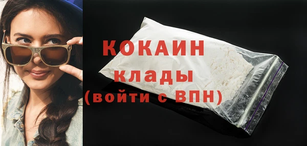 индика Абаза