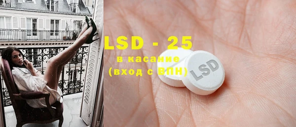 индика Абаза