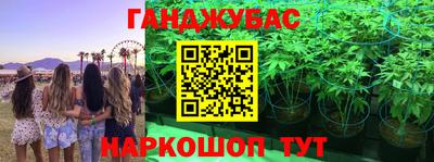 спайс Гагарин