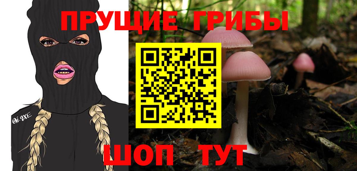 Новоуральск  Галлюциногенные грибы мицелий  Вход с VPN 